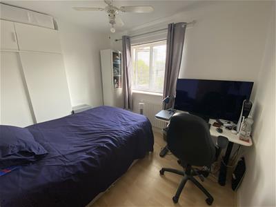 Picture 16
